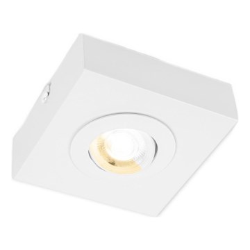Briloner 3996016 - LED Reflektorska lampa CTS LED/4W/230V 2700/4000K bela