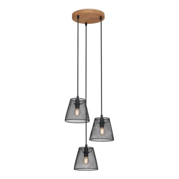 Briloner 4074-035 - Luster na sajli TAUNUS 3xE14/40W/230V fikus elastika