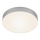 Briloner 7064014 - LED Plafonjera FLAME LED/11W/230V srebrno