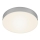 Briloner 7065-014 - LED Plafonjera FLAME LED/16W/230V srebrno
