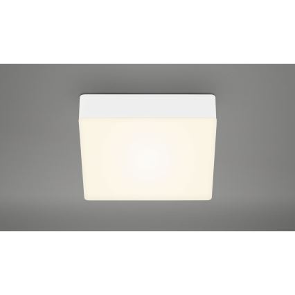 Briloner 7069-016 - LED Plafonjera LED/11W/230V bela
