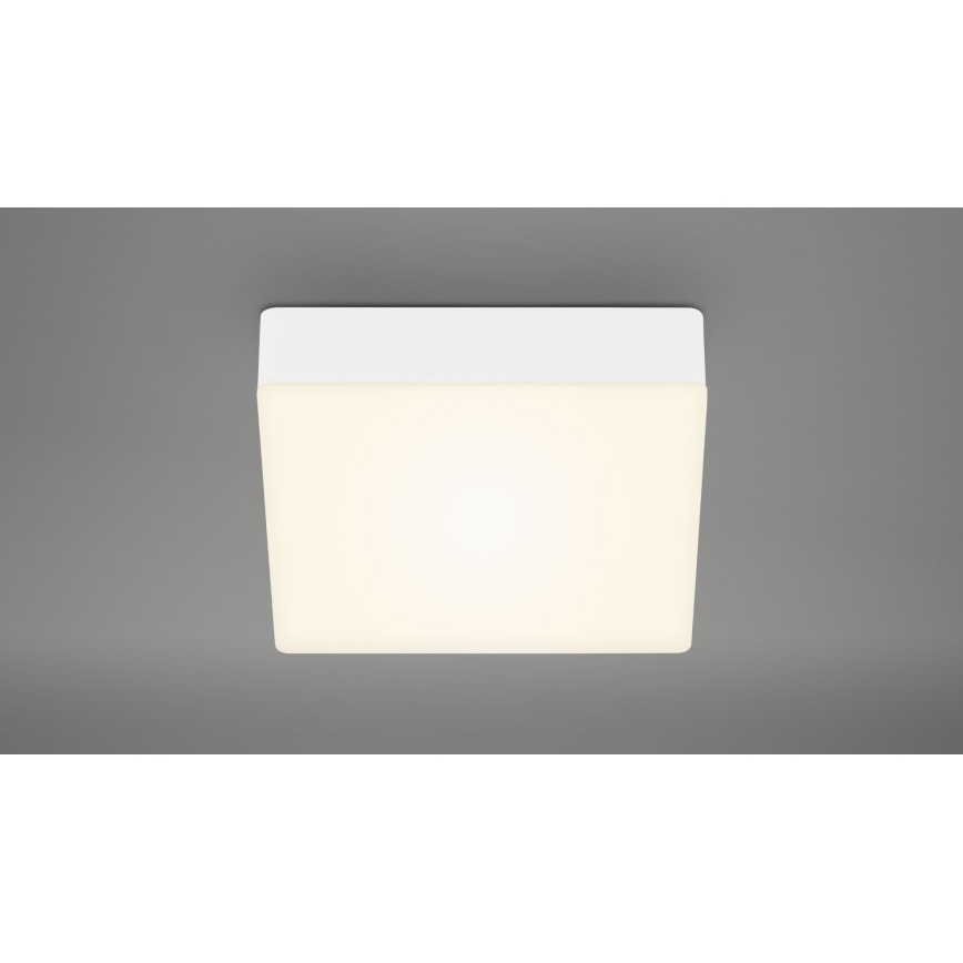 Briloner 7069-016 - LED Plafonjera LED/11W/230V bela