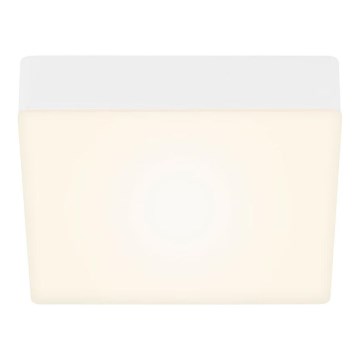 Briloner 7069-016 - LED stropno svetlo LED/11W/230V belo