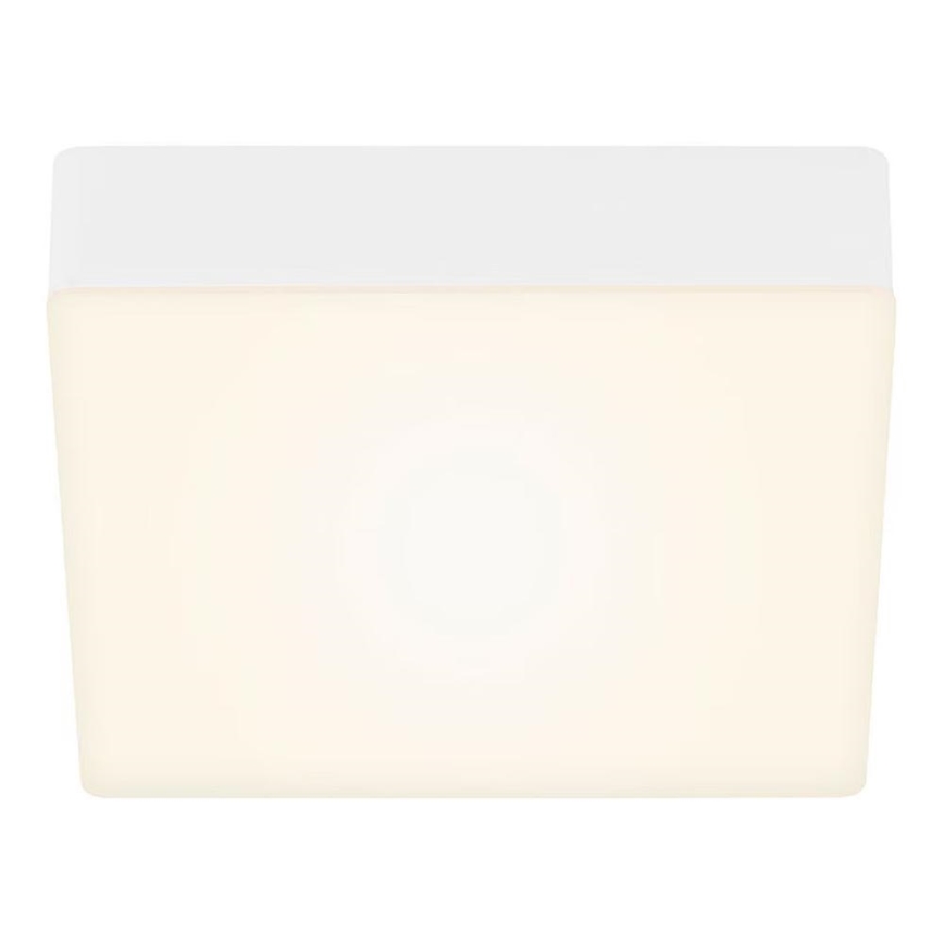 Briloner 7069-016 - LED stropno svetlo LED/11W/230V belo