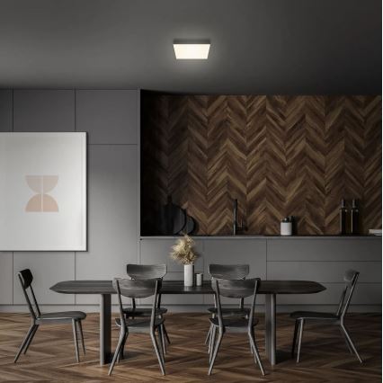 Briloner 7070-015 - LED stropna svetiljka FLAME LED/16W/230V crna