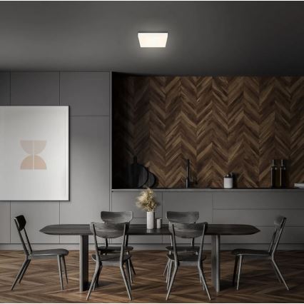 Briloner 7070-016 - LED Plafonjera FLAME LED/16W/230V bela