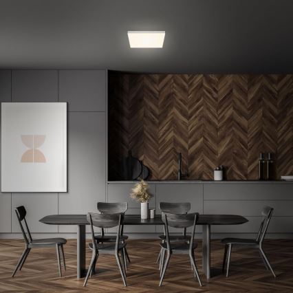 Briloner 7071-014 - LED Plafonjera FLAME LED/21W/230V 3000K 28,7x28,7 cm srebrno