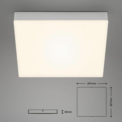Briloner 7071-014 - LED Plafonjera FLAME LED/21W/230V 3000K 28,7x28,7 cm srebrno