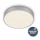 Briloner 7073-414 - LED Plafonjera STAR SKY LED/16W/230V 4000K pr. 21 cm srebrno