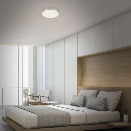 Briloner 7074-414 - LED Plafonjera STAR SKY LED/21W/230V 4000K pr. 28 cm srebrno