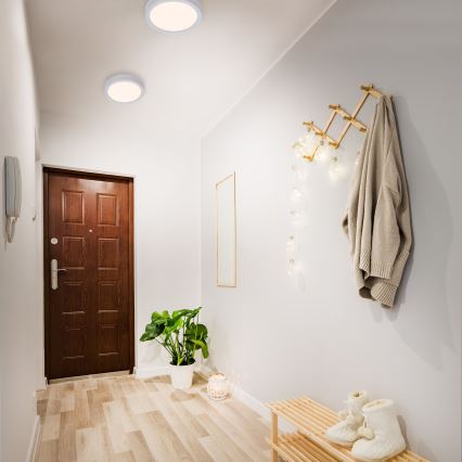 Briloner 7117-014 - LED plafonsko svetlo FIRE LED/16,5W/230V 3000K