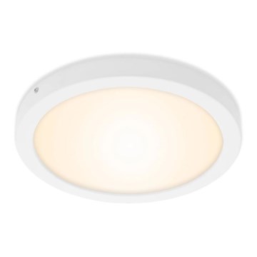 Briloner 7141-016 - LED stropno svetlo FIRE LED/21W/230V