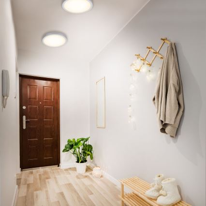 Briloner 7143-014 - LED plafonsko svetlo FIRE LED/24,5W/230V 3000K