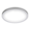 Briloner 7143-414 - LED Plafonjera FIRE LED/24,5W/230V 4000K