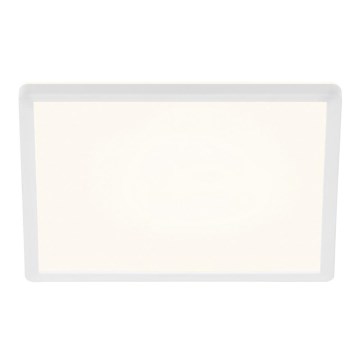 Briloner 7156-416 - LED Plafonjera SLIM LED/18W/230V