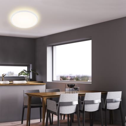 Briloner 7157-416 - LED Plafonjera SLIM LED/22W/230V pr. 42 cm