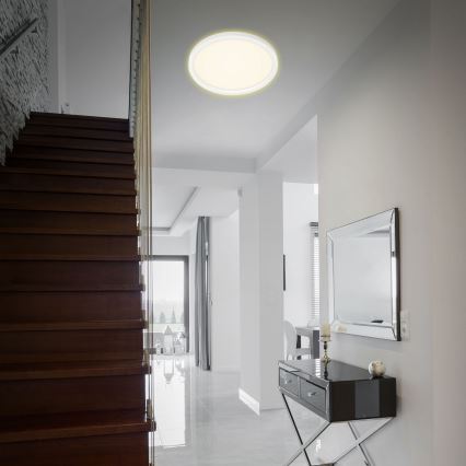 Briloner 7363-016 - LED Plafonjera CADRE LED/22W/230V pr. 42,5 cm bela