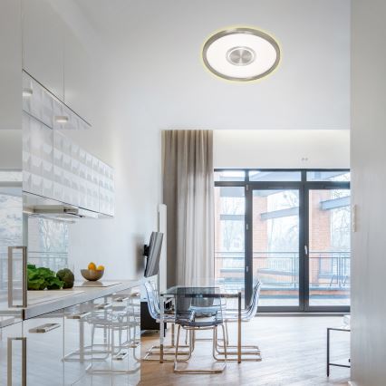 Briloner 7366-112 - LED plafonsko svetlo GEO LED/22W/230V