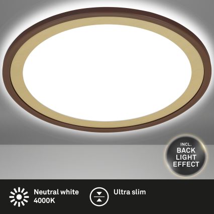 Briloner 7454-417 - LED Plafonjera DECO LED/18W/230V