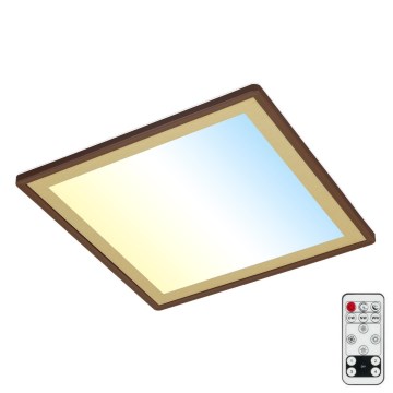 Briloner 7459-417 - LED Prigušiva plafonjera DECO LED/24W/230V 2700-6500K + Daljinski upravljač