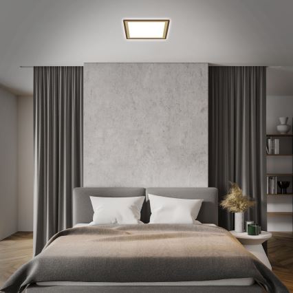Briloner 7459-417 - LED Prigušiva plafonjera DECO LED/24W/230V 2700-6500K + Daljinski upravljač