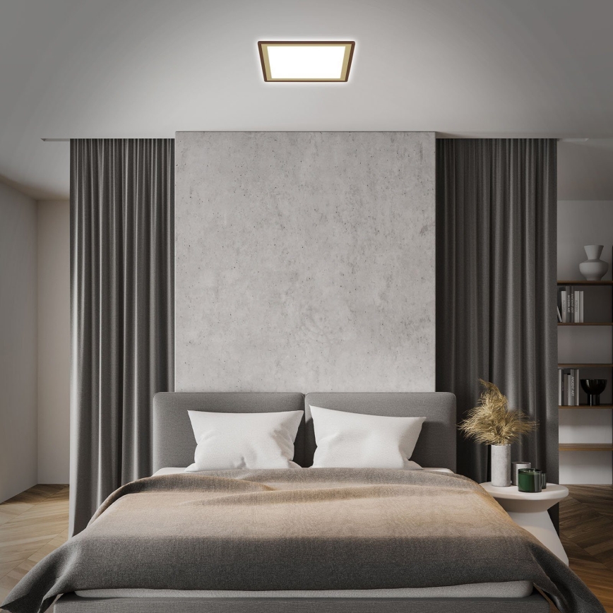 Briloner 7459-417 - LED Prigušiva plafonjera DECO LED/24W/230V 2700-6500K + Daljinski upravljač