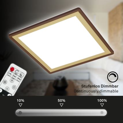 Briloner 7459-417 - LED Prigušiva plafonjera DECO LED/24W/230V 2700-6500K + Daljinski upravljač