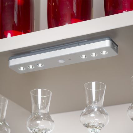 Briloner - LED Orijentacijska lampa sa senzorom LERO LED/0,48W/6xAAA