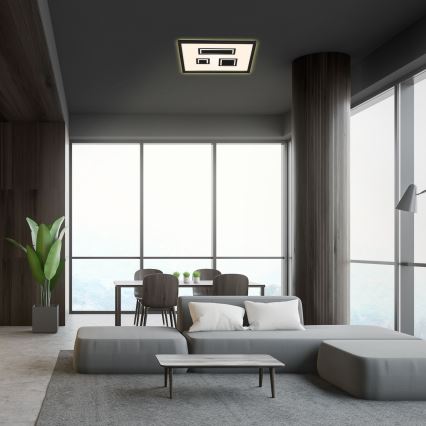 Briloner - LED Plafonjera PAC LED/22W/230V