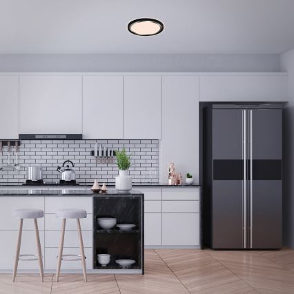 Briloner - LED plafonsko svetlo KAHIKO LED/15W/230V crno