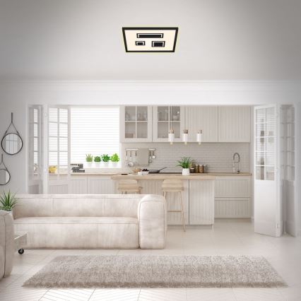 Briloner - LED plafonsko svetlo PAC LED/22W/230V