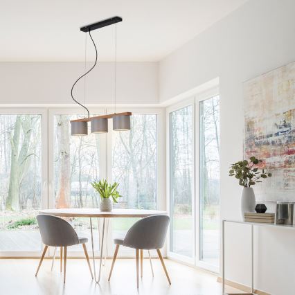 Briloner - Luster na sajli RHON 3xE14/25W/230V fikus elastika