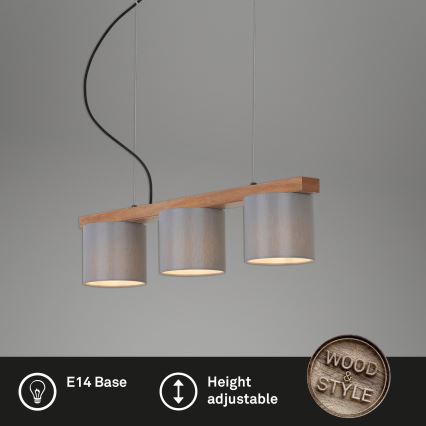Briloner - Luster na sajli RHON 3xE14/25W/230V fikus elastika