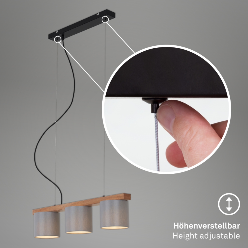 Briloner - Luster na sajli RHON 3xE14/25W/230V fikus elastika