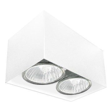 Brosline - Spot svetlo 2xGU10/10W/230V belo