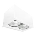Brosline - Spot svetlo 2xGU10/10W/230V belo