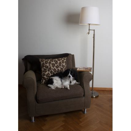 ByRydens - Podna LED lampa ORLANDO 1xE27/5W/230V + LED/3W bela/bronzana pr. 36 cm