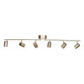 ByRydens - Reflektorska lampa CORRECT 6xGU10/7W/230V zlatna