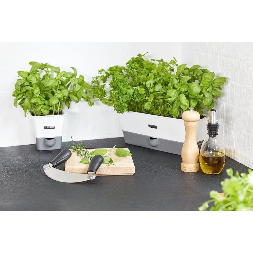 Cole&Mason - Mlin za so CAPSTAN BEECH bukovina 20 cm