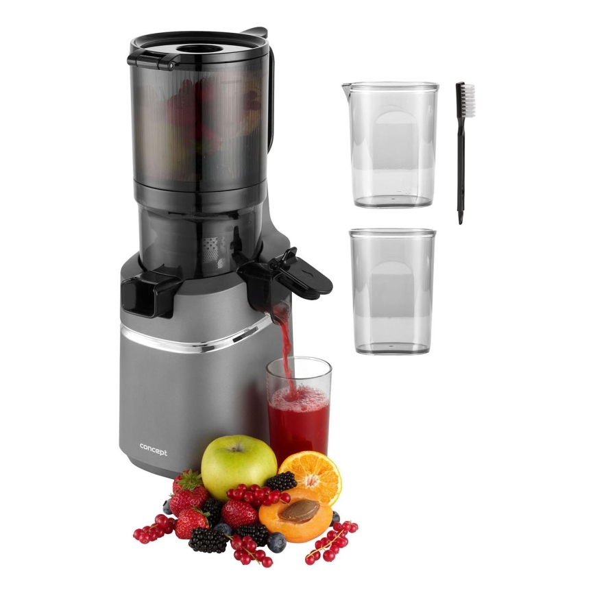 Concept LO7120 - Šnekoviti sokovnik JUICY 250W/230V siva