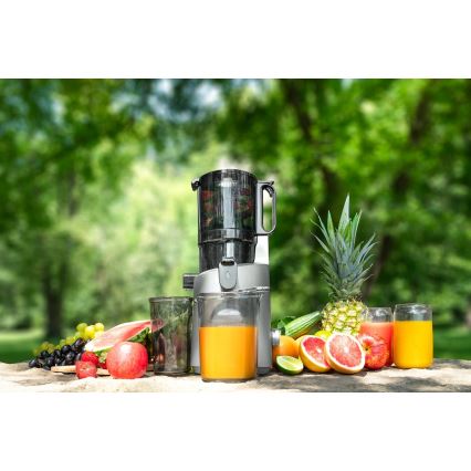 Concept LO7120 - Sokovnik za hladno ceđenje JUICY 250W/230V sivo