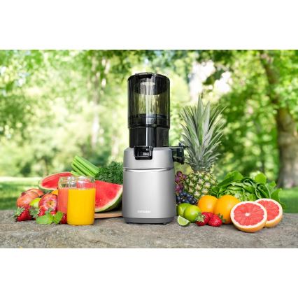 Concept LO7120 - Sokovnik za hladno ceđenje JUICY 250W/230V sivo