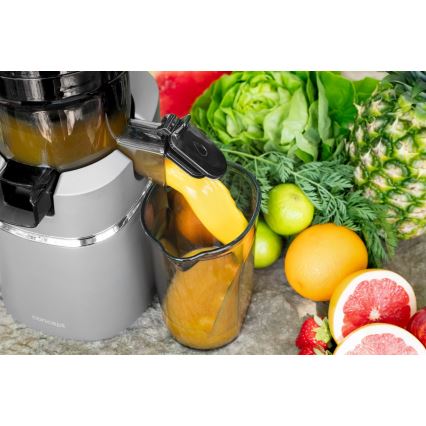 Concept LO7120 - Sokovnik za hladno ceđenje JUICY 250W/230V sivo