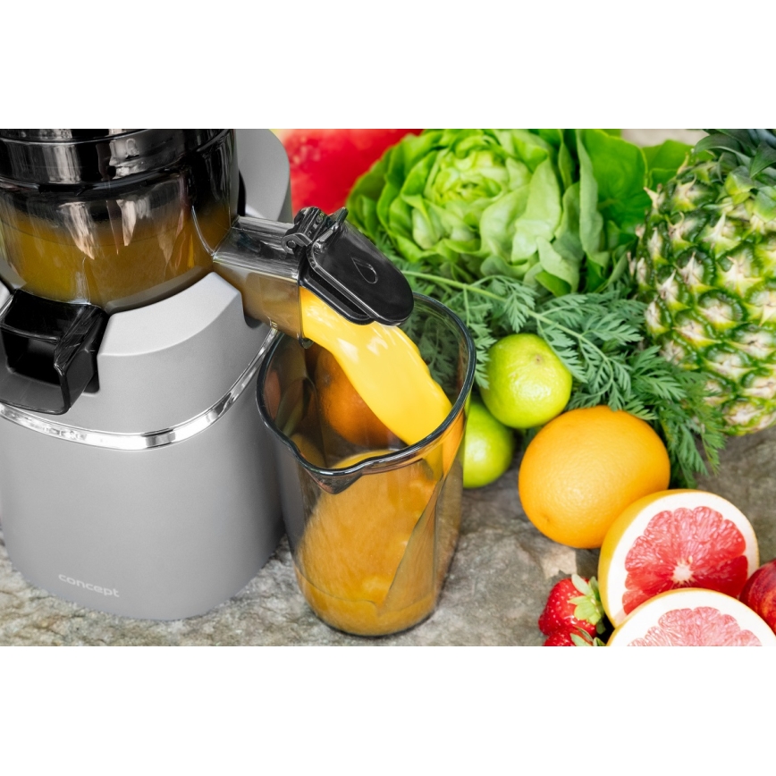 Concept LO7120 - Sokovnik za hladno ceđenje JUICY 250W/230V sivo