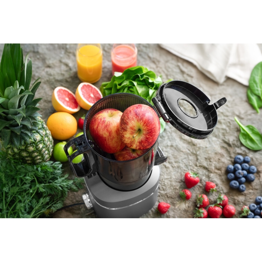 Concept LO7120 - Sokovnik za hladno ceđenje JUICY 250W/230V sivo