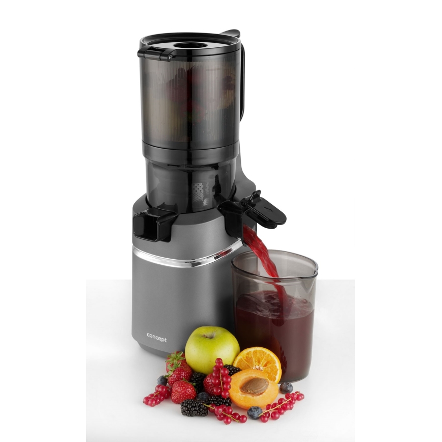 Concept LO7120 - Sokovnik za hladno ceđenje JUICY 250W/230V sivo
