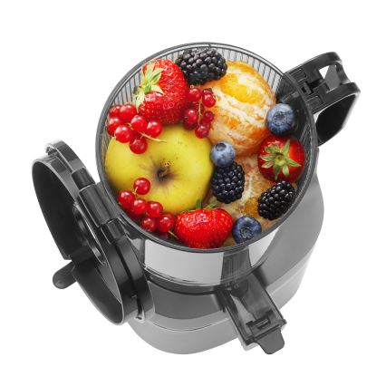 Concept LO7120 - Sokovnik za hladno ceđenje JUICY 250W/230V sivo