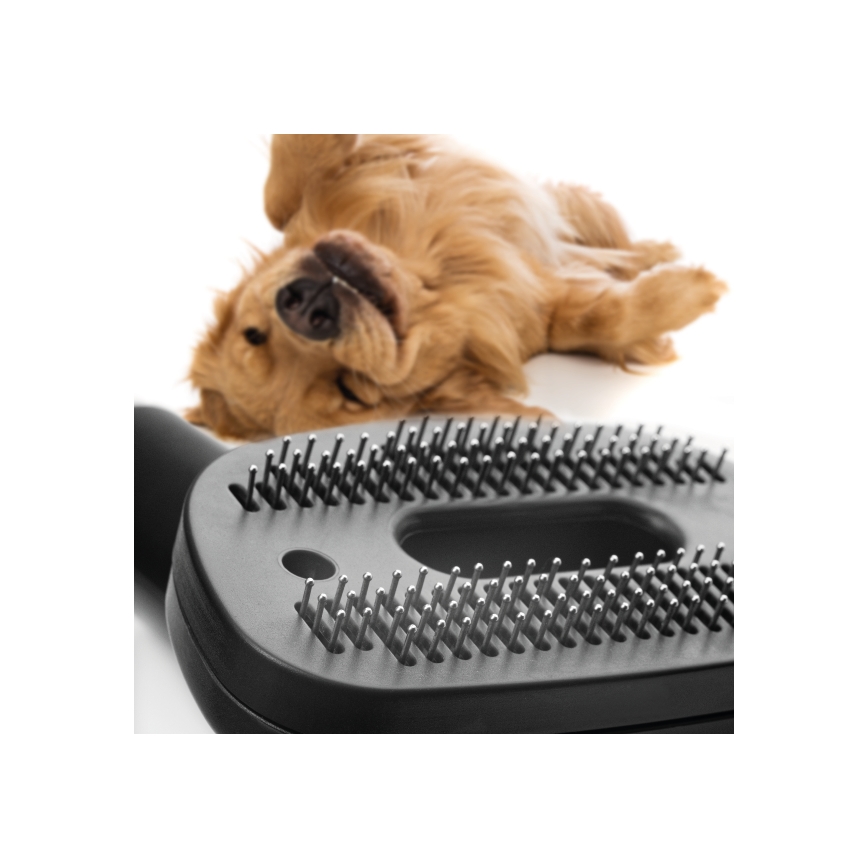 Concept VP5240N - Usisivač bez vrećice 4A RADICAL PET EXPERT 2,5 l 800W/230V bronzana