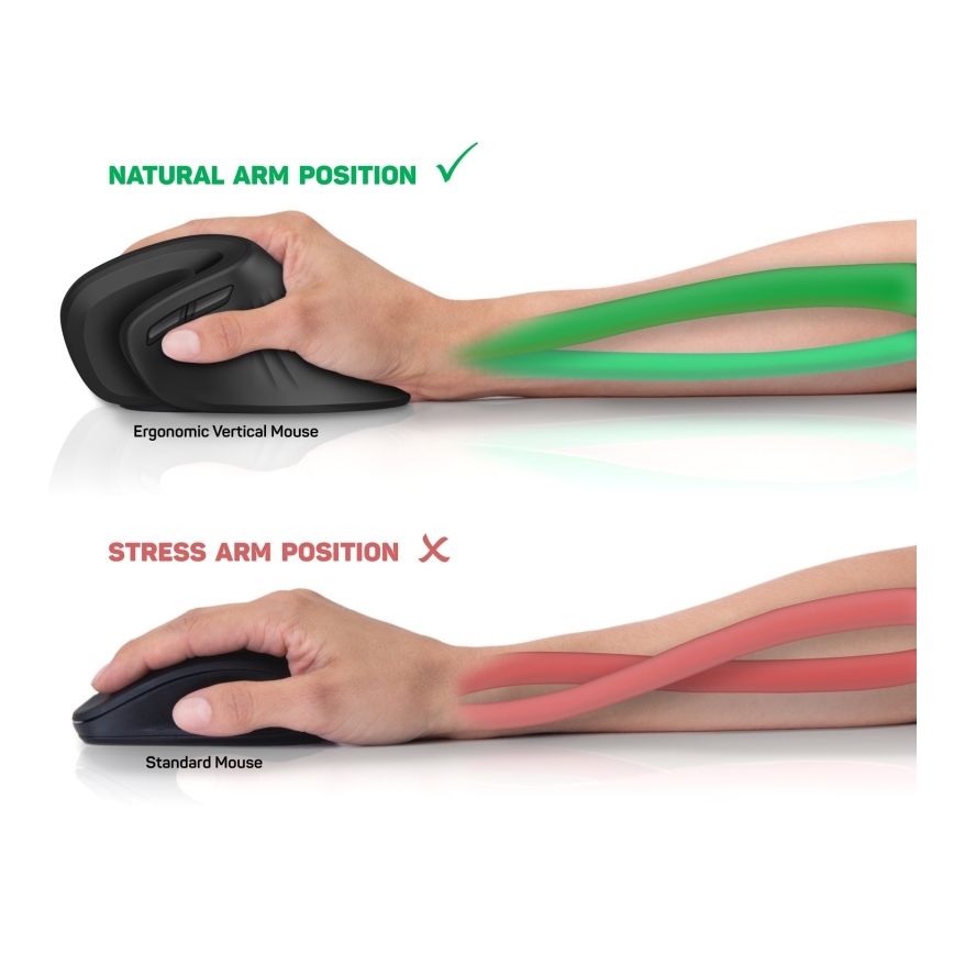 CONNECT IT CMO-2900-BK - Ergonomski bežični miš, 800/1200/1600 DPI, napajanje 1xAA, crna