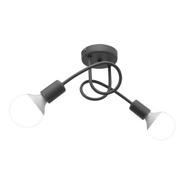 Dečiji nadgradni luster OXFORD 2xE27/15W/230V sivo